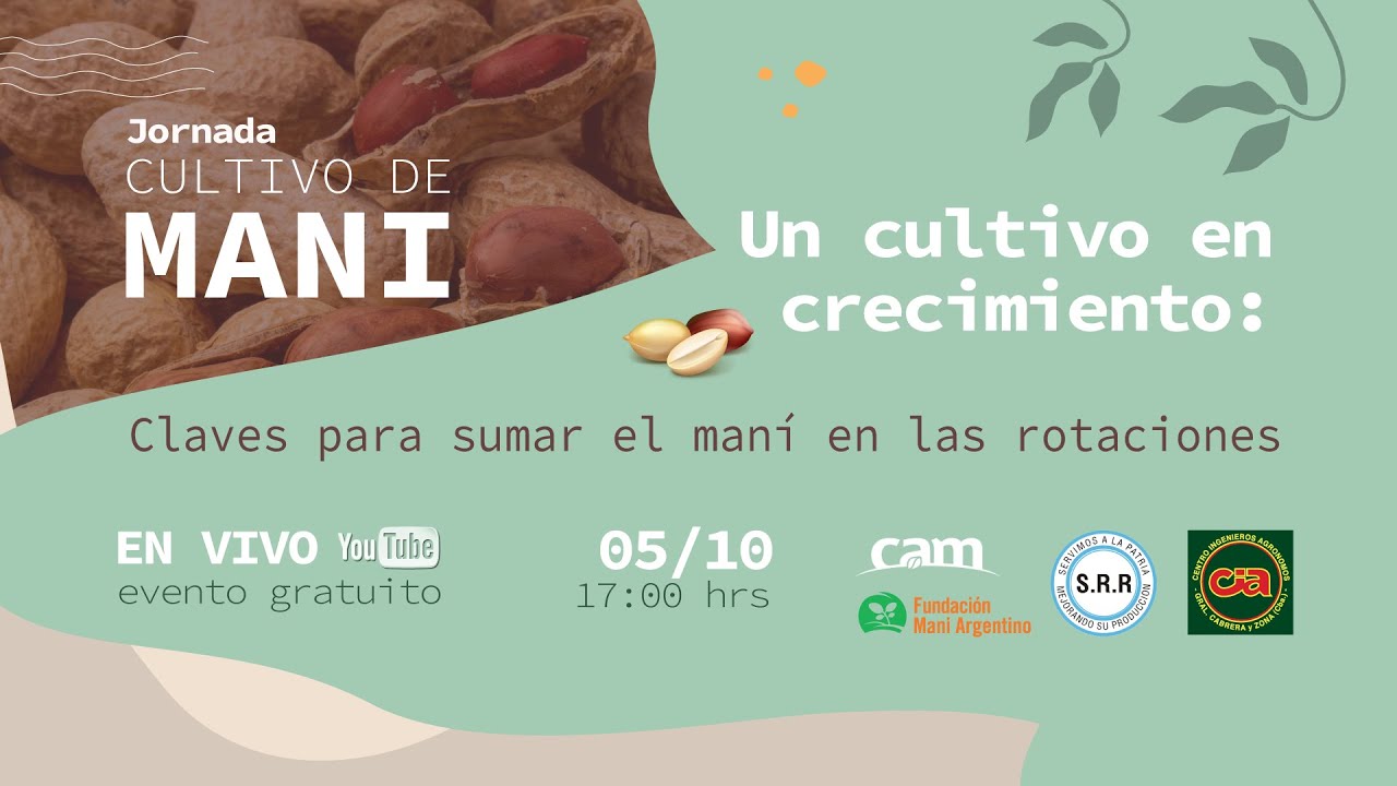 Jornada Cultivo de Mani: Un Cultivo En Crecimiento, Claves Para Sumar El maní en Las Rotaciones