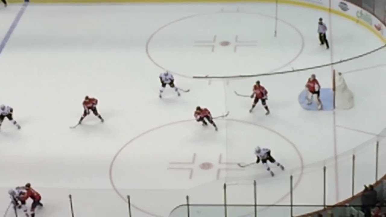 Washington Capitals - Senators - NHL Hockey Game - Verizon Center - Washington DC 11-27-2013