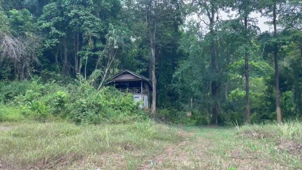 Nearly 11 Rai of Land For Sale in Thayu, Phangnga