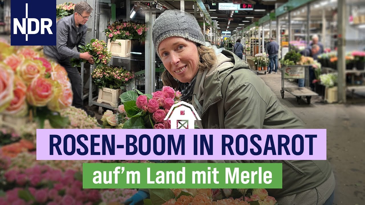 Hochsaison auf Deutschlands größtem Blumengroßmarkt | Folge 9 | NDR auf'm Land mit Merle