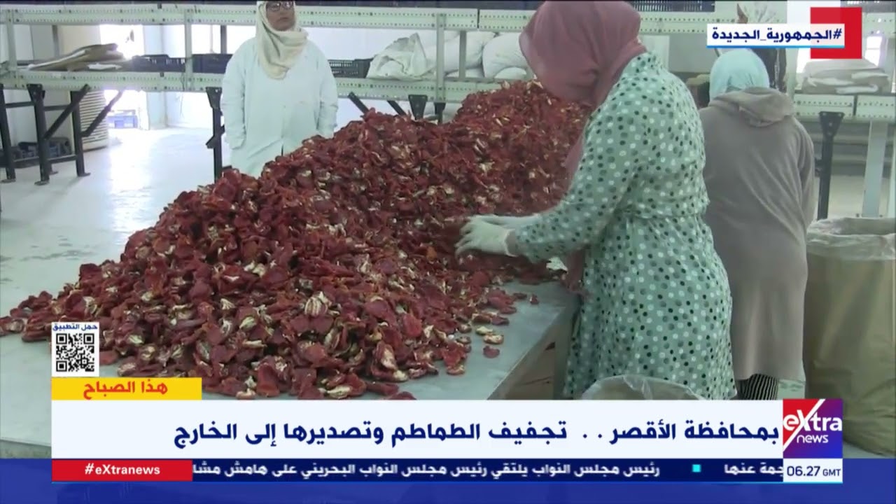 هذا الصباح | بمحافظة الأقصر.. تجفيف الطماطم وتصديرها إلى الخارج