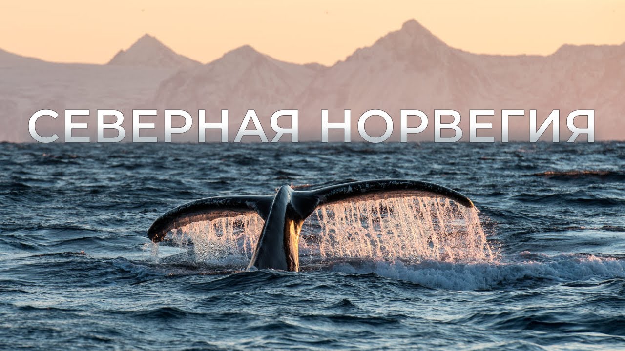 Северная Норвегия: киты, горы и белые ночи