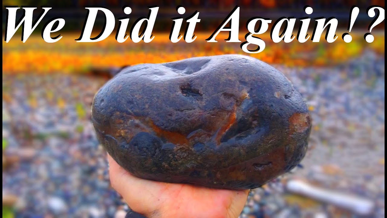 We Found ANOTHER MONSTER AGATE! Rock Hunting for Yellowstone River Moss Agates and Colorful Jaspers!
