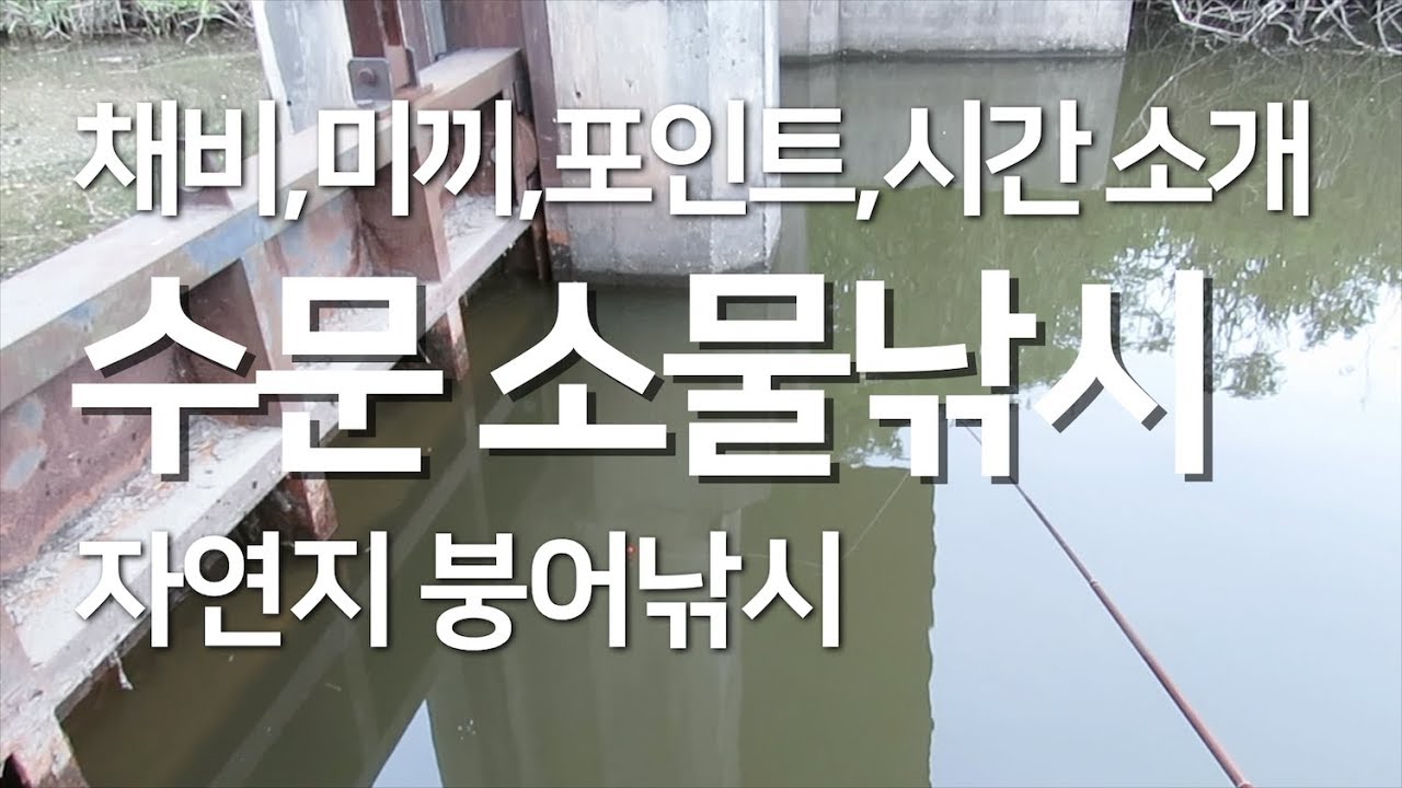 수문 옆 붕어 소물낚시  2시간 30마리 입질 폭발 Micro fishing for small crucian carp