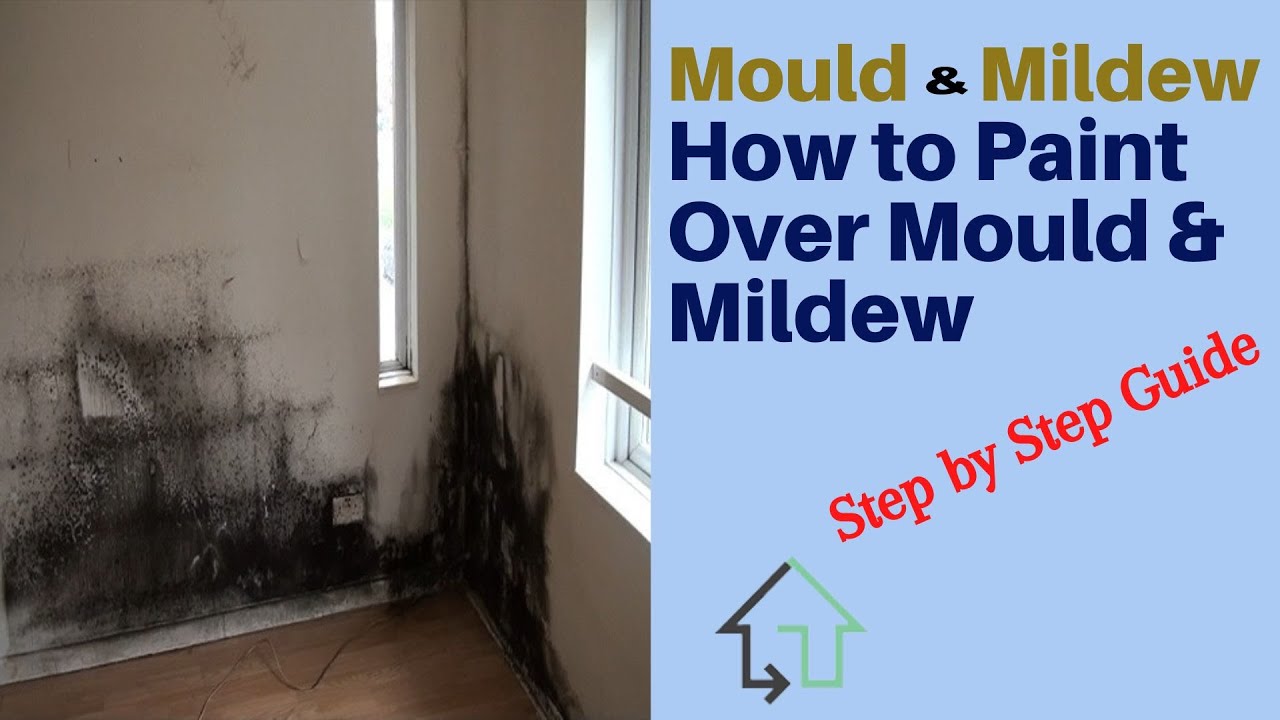 Mould & Midlew | How to Paint over Mould & Midlew | Step by Step Guide | Mold Removal