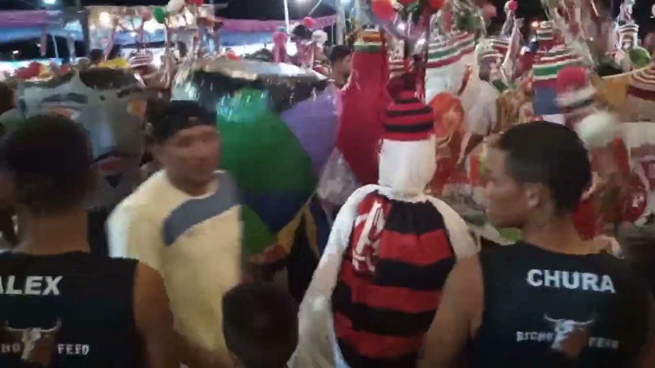 Boi Tinga em são Caetano de Odivelas