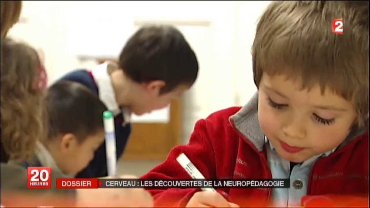 Cerveau: les découvertes de la neuropédagogie - France 2