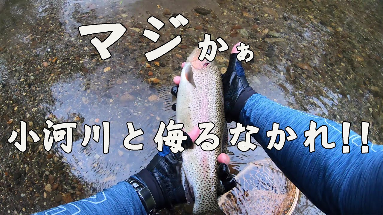 4.2ft グラスロッドフルベンド（ダイワSCミノー40で50近い奴釣ちゃう件）　ヘッポコアングラーの渓流ベイトフィネス日誌