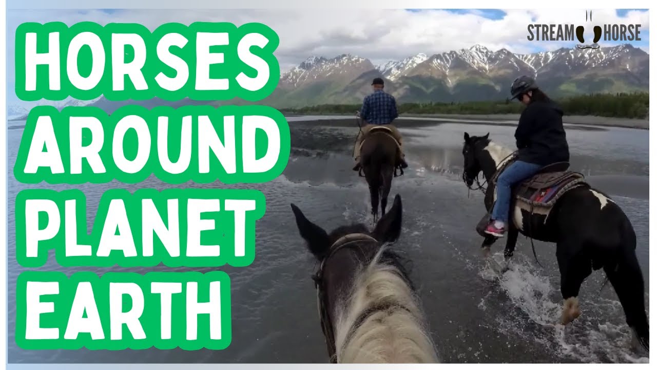 10-Minute Horse Adventure Around the World — Gentle Nature and Calm