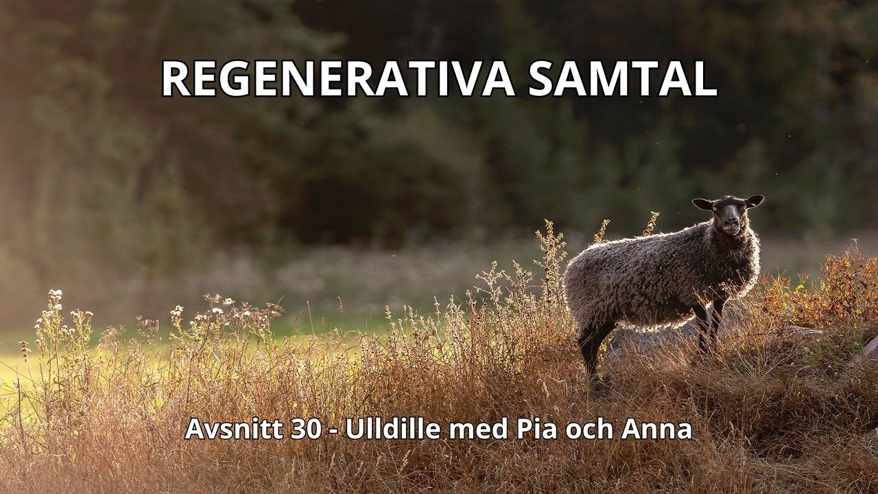 Regenerativa Samtal - Avsnitt 30 - Ulldille
