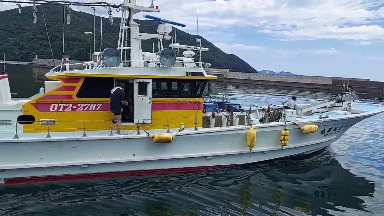 旋網漁業　塩月金比羅丸船団　愛南漁協深浦市場水揚げ