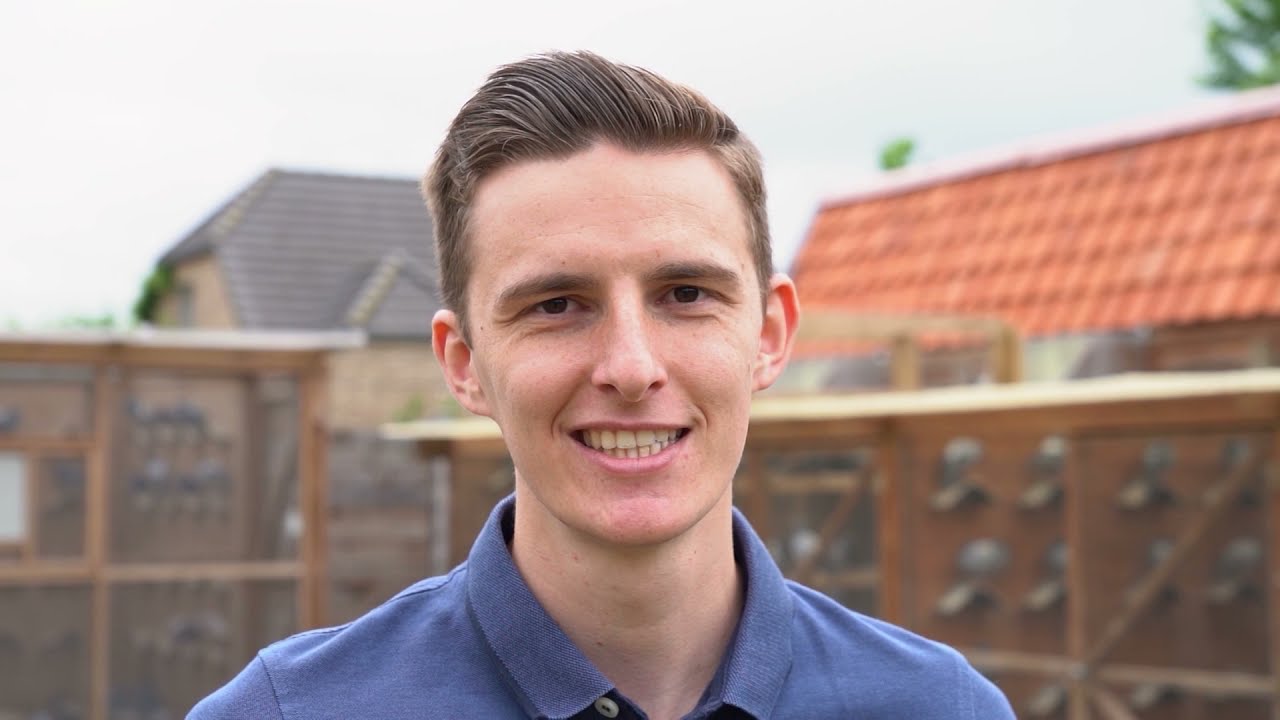 De Belgische Reisduif - De Constateur - Daan Roosen
