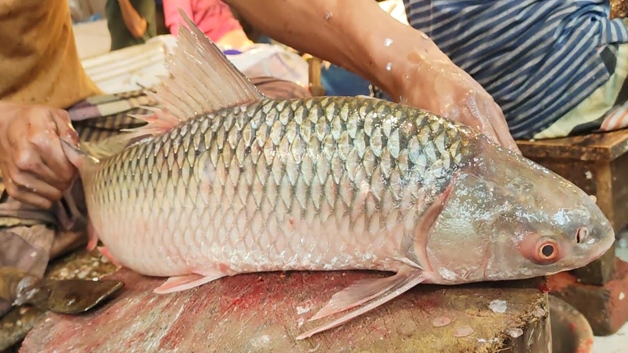 Big Mrigal Fish Cleaning & Chopping By Expert Fish Cutter In Bangladesh Fish Market
