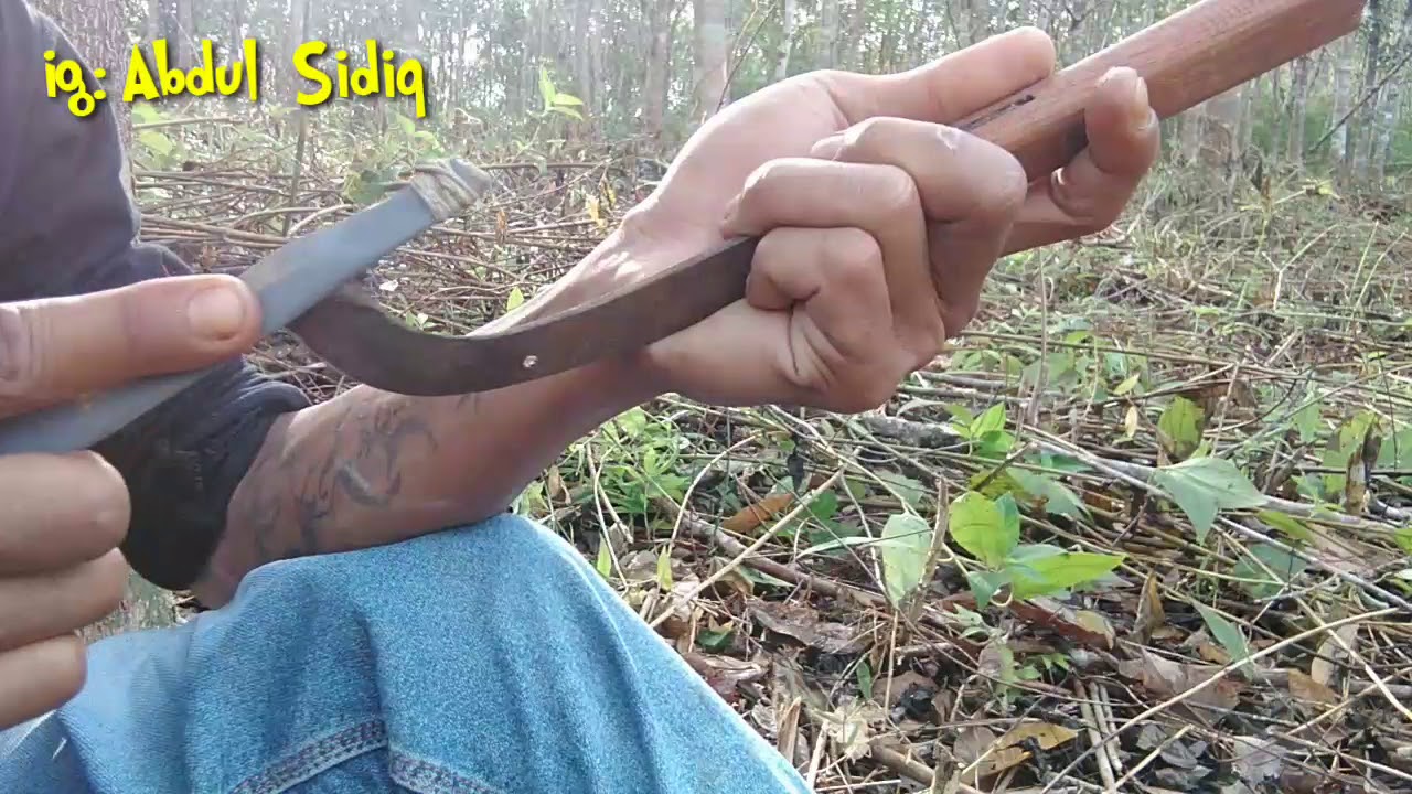 Cara Mengasah Pisau Sadap Karet Setajam Silet