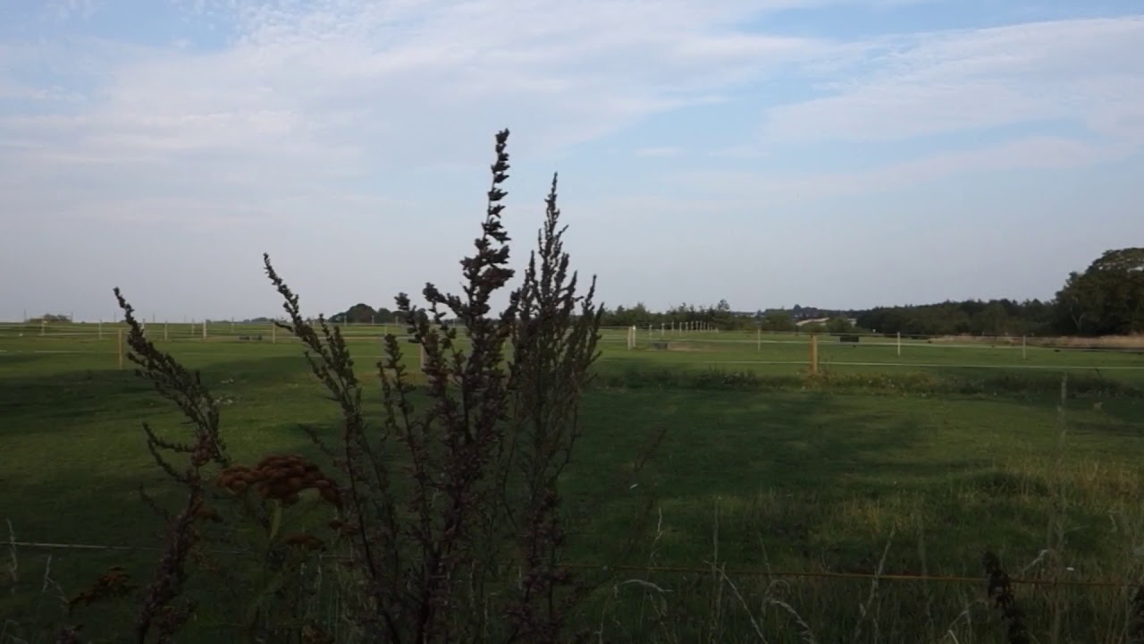 Himmelev Rideklub