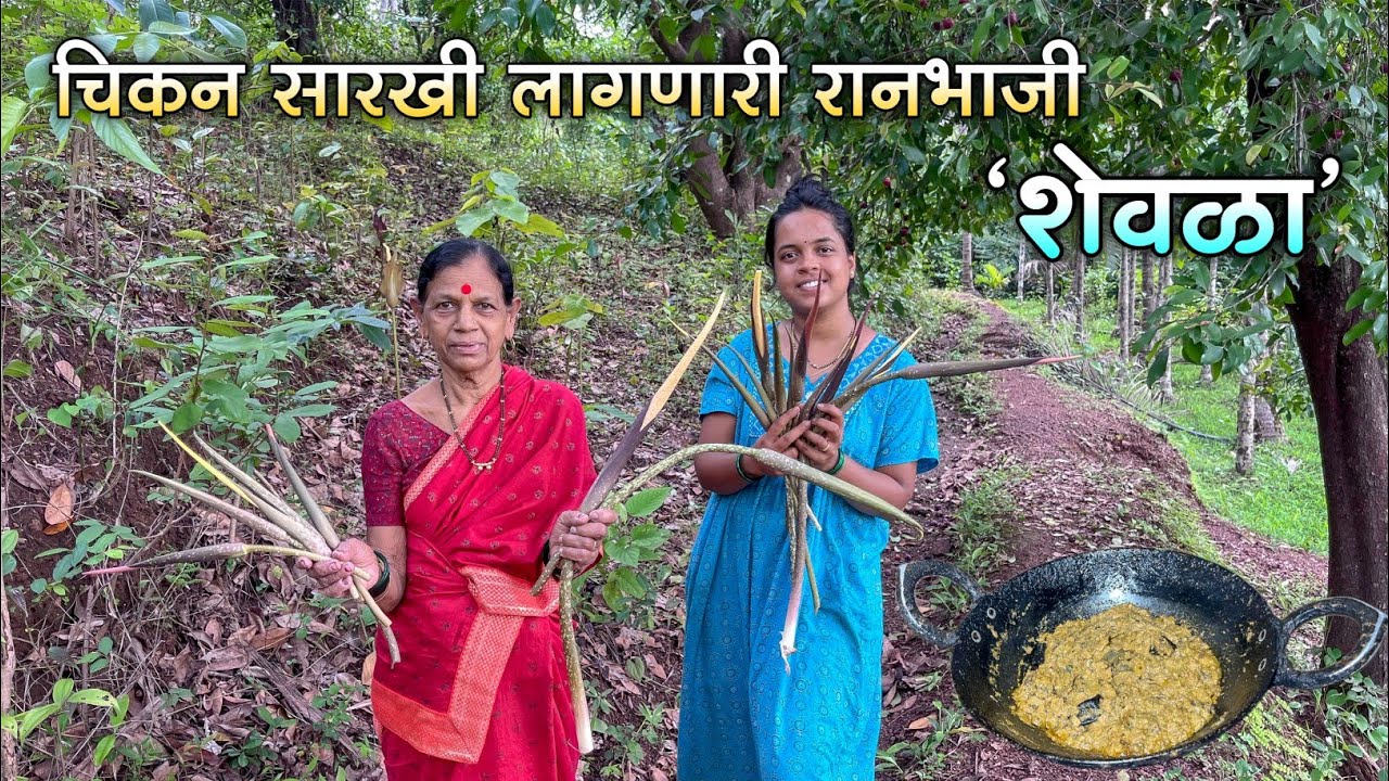 पावसाळ्याच्या सुरुवातीला जंगलात रुजणारी रानभाजी 