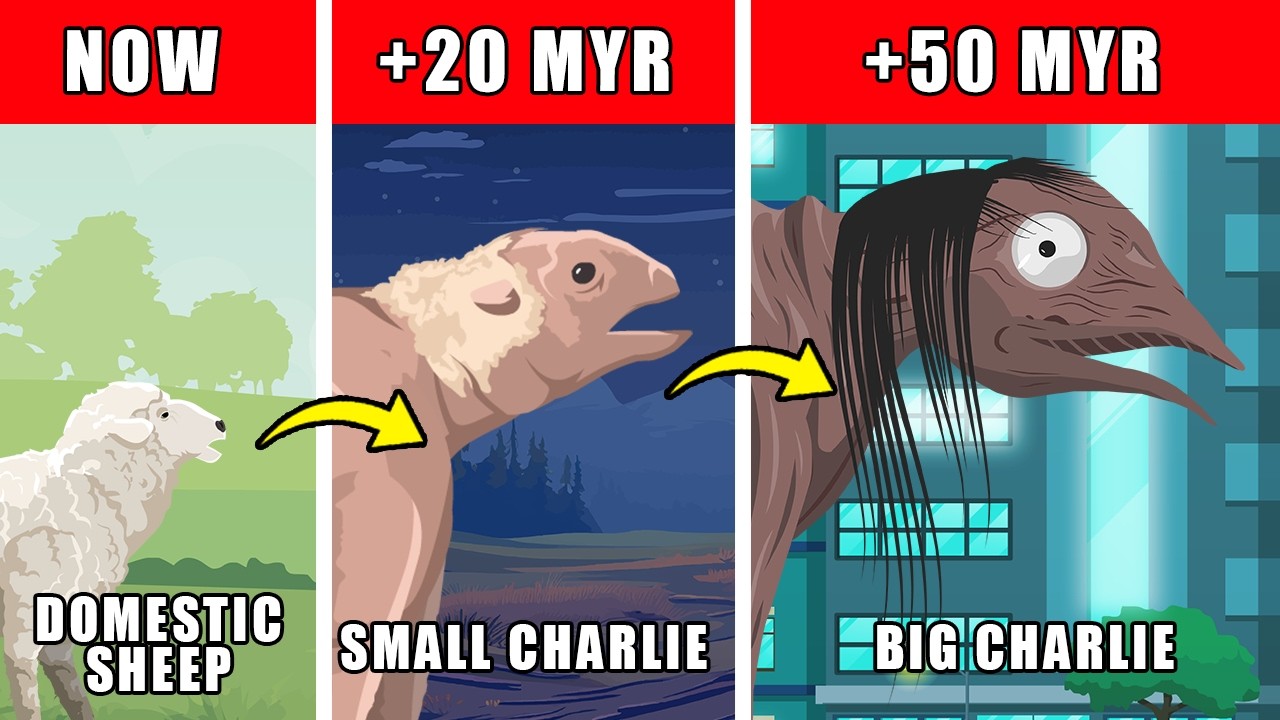 Big Charlie Origin Evolution : How Big Charlie Could Have Evolved