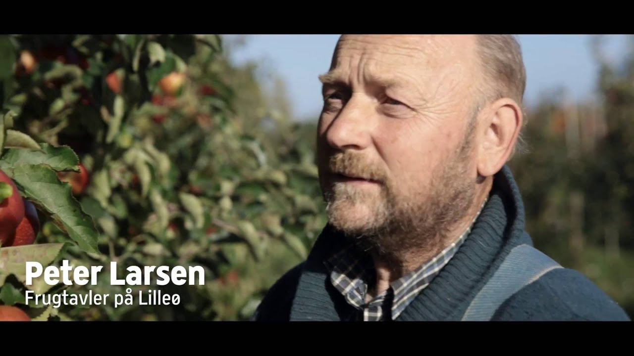 Frugt fra Lilleø