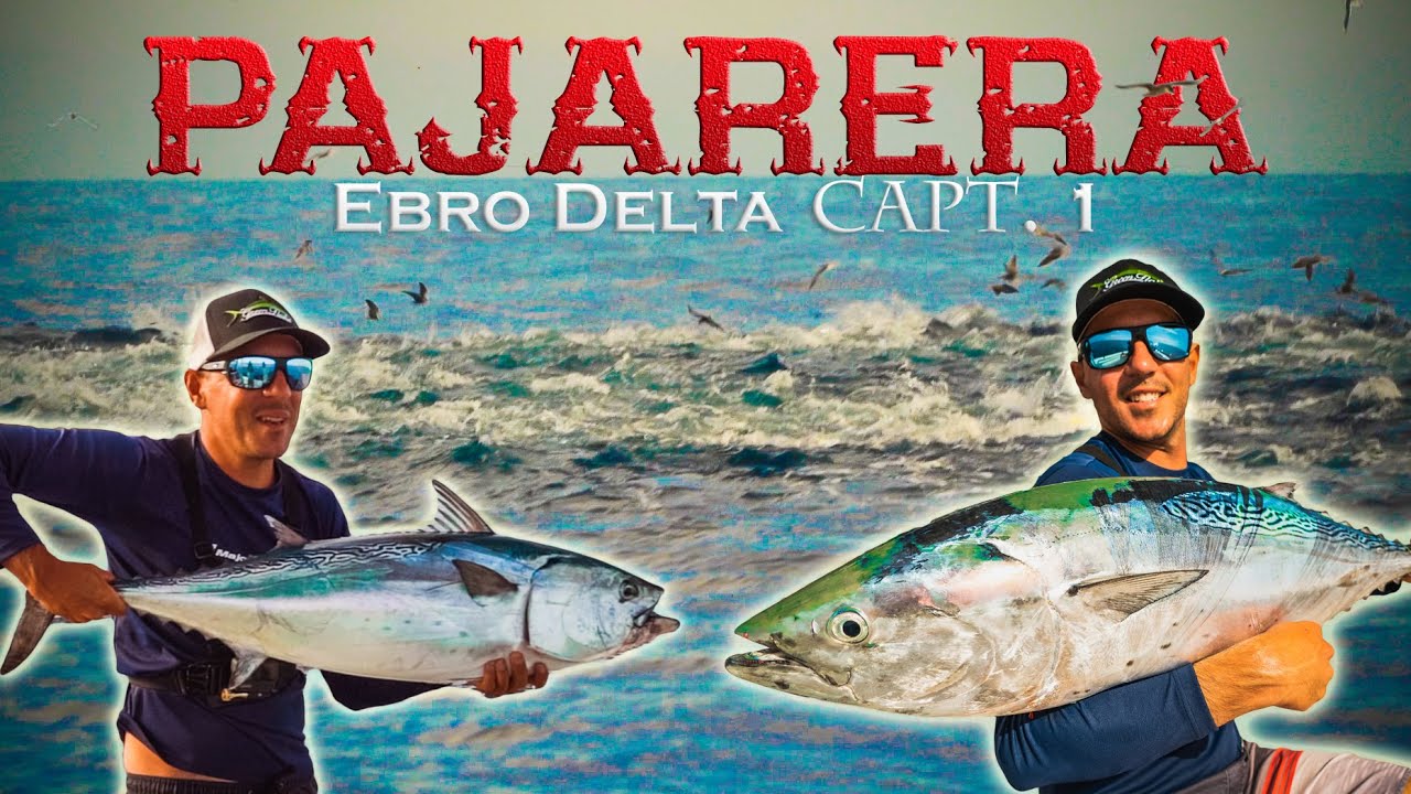 𝗠𝗘𝗚𝗔 𝗣𝗔𝗝𝗔𝗥𝗘𝗥𝗔𝗦 😱 Muchos PECES GRANDES [Pesca en el DELTA del EBRO #1] | Lured Vlog 146