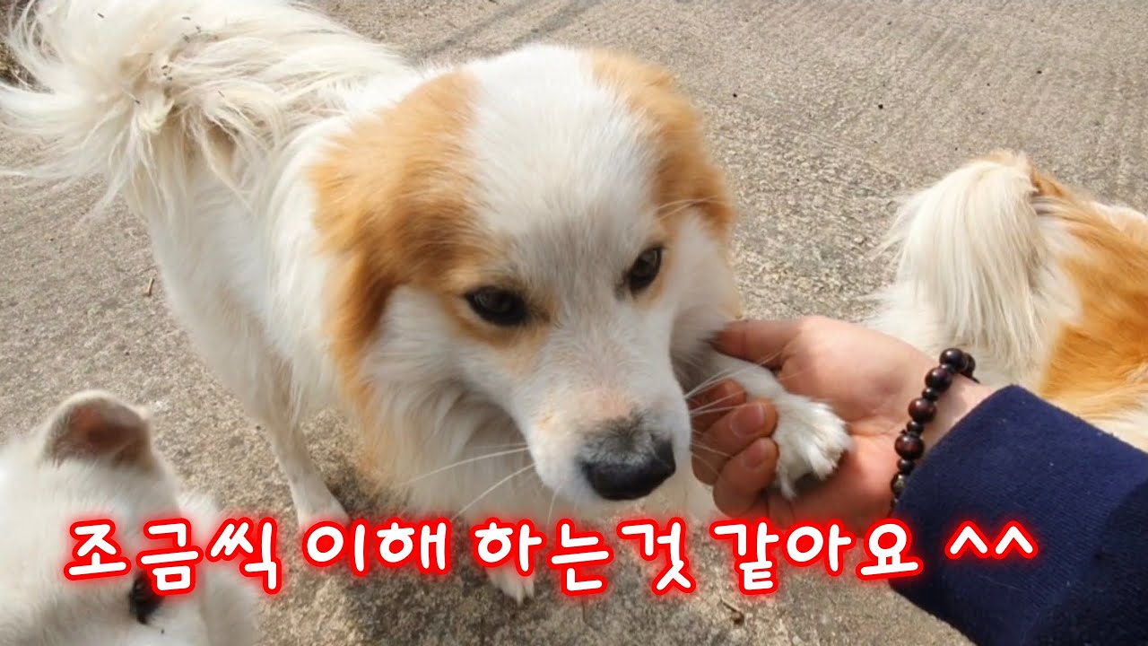개과천선 15일차