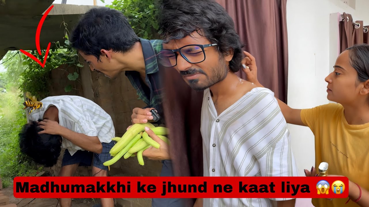 3 madhumakkhi ne ek saath kaat liya 😭 | Mangal ka halat kharab
