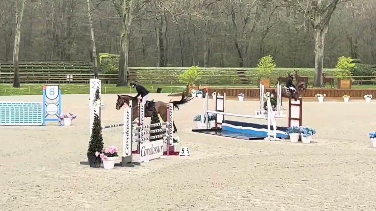 Izarra Vatys (Denfer de la Folie/Vas y Donc Longane) 6ans Qualif Compiegne Avril 2014