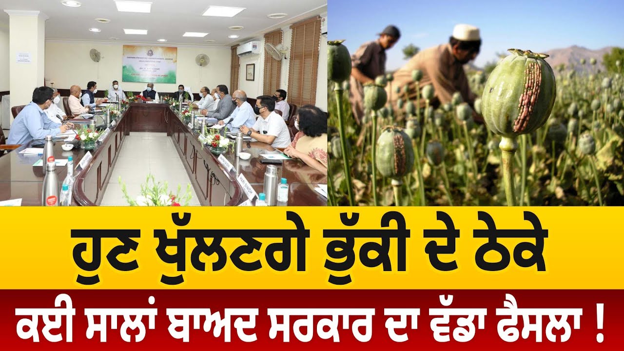 ਹੁਣ ਖੁੱਲਣਗੇ ਭੁੱਕੀ ਦੇ ਠੇਕੇ, ਕਈ ਸਾਲਾਂ ਬਾਅਦ ਸਰਕਾਰ ਦਾ ਵੱਡਾ ਫੈਸਲਾ ! | Poppy | Opium | D5 Channel Punjabi