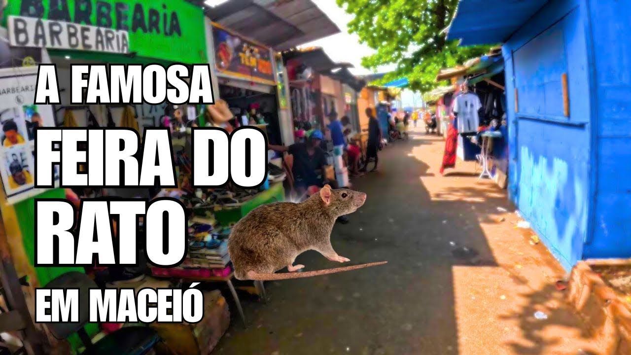 FEIRA DO RATO 🐀 MACEIÓ AL 