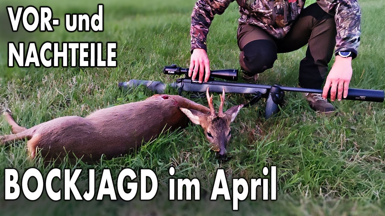 BOCKJAGD ab April? (Kontroverse Diskussion)