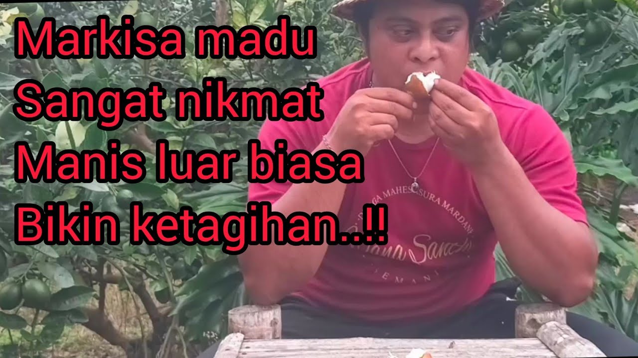 REVIEW BUAH MARKISA MERAH DAN MARKISA MADU YG BUAHNYA SANGAT MANIS.!!