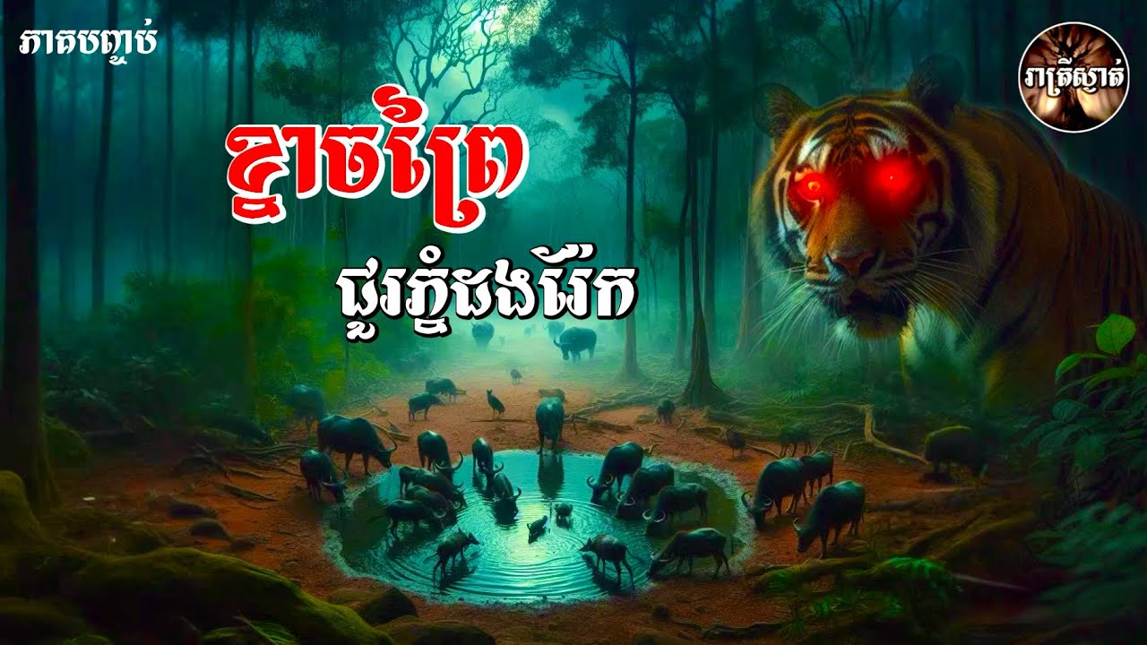 ខ្នាចព្រៃជួរភ្នំដងរ៉ែក [ភាគបញ្ចប់]​ Iរាត្រីស្ងាត់