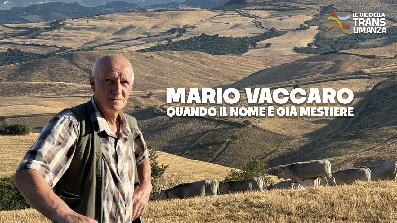 Mario Vaccaro: un destino scritto nel proprio nome