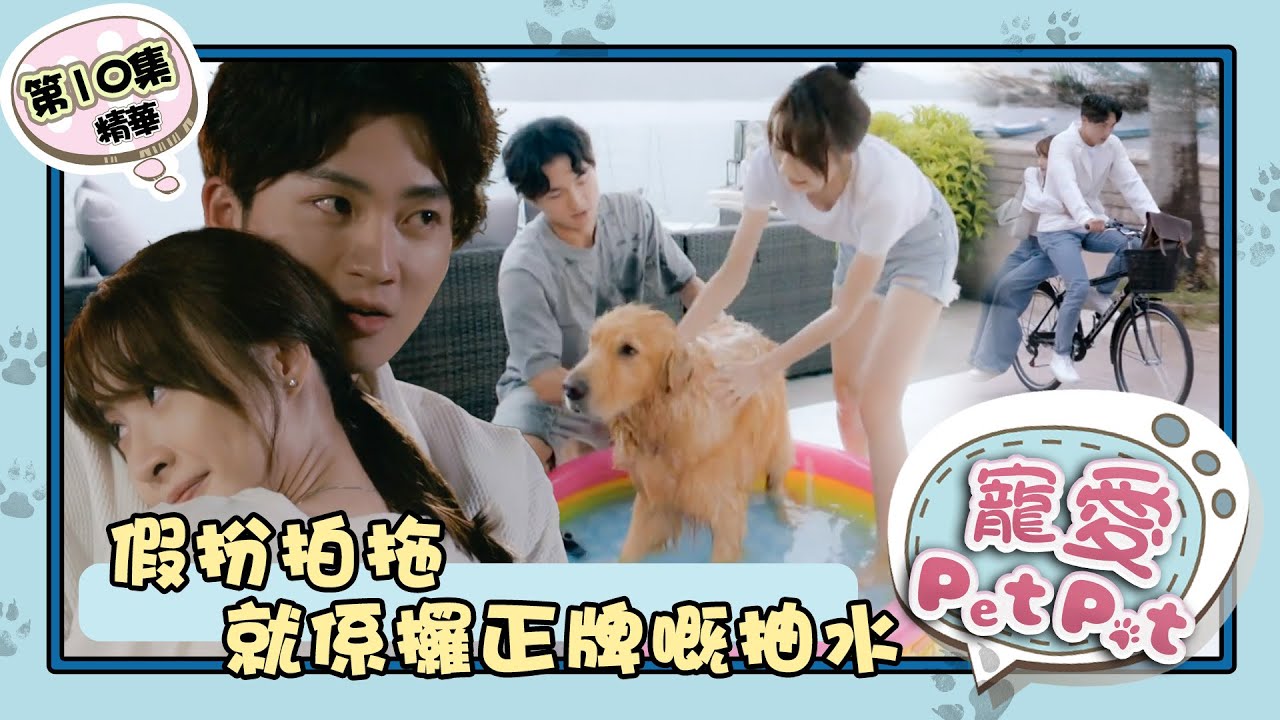 寵愛Pet Pet ｜第10集加長版精華｜假扮拍拖 就係攞正牌嘅抽水  繁／簡／英字幕｜周嘉洛｜林夏薇｜寵物｜喜劇｜劇集｜港劇｜電視劇