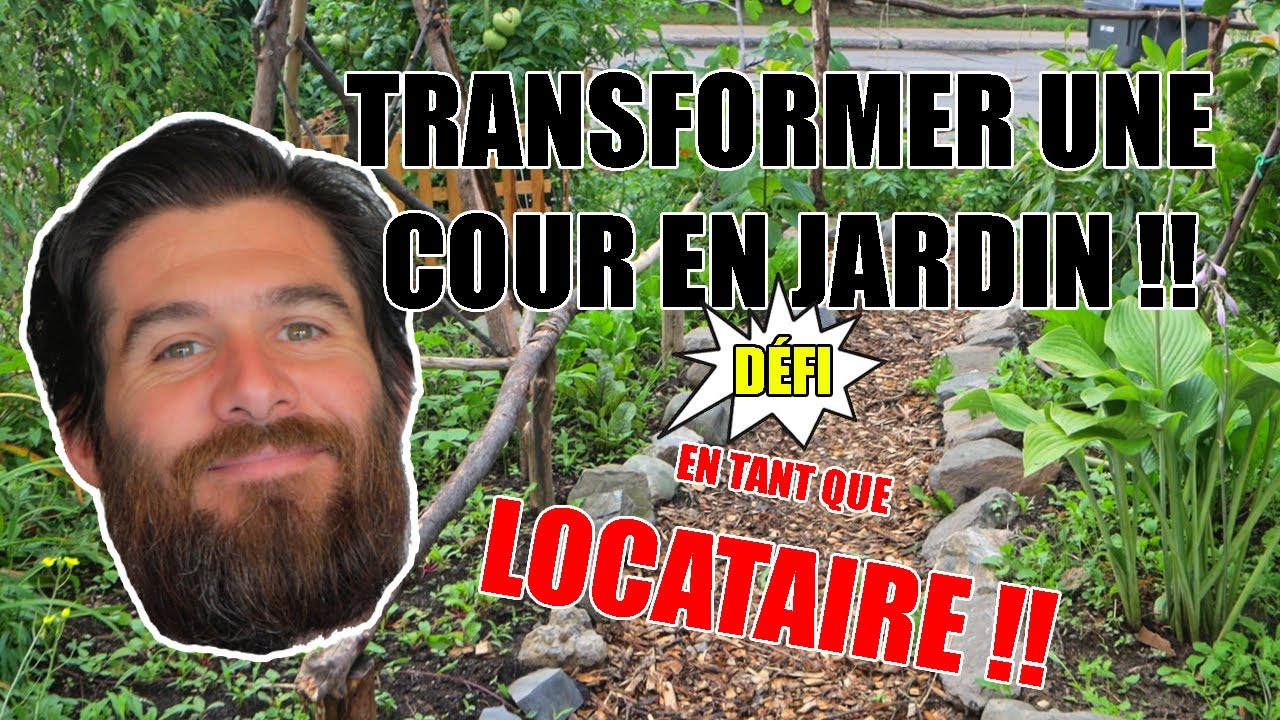 Transformer une cour en jardin! En tant que locataire!