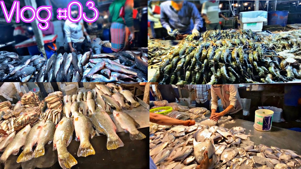ভোরবেলা ঢাকার মাছের বাজারের আসল চিত্র 🐟 | Largest Fish Market in Dhaka । (ব্লগ-০৩)।