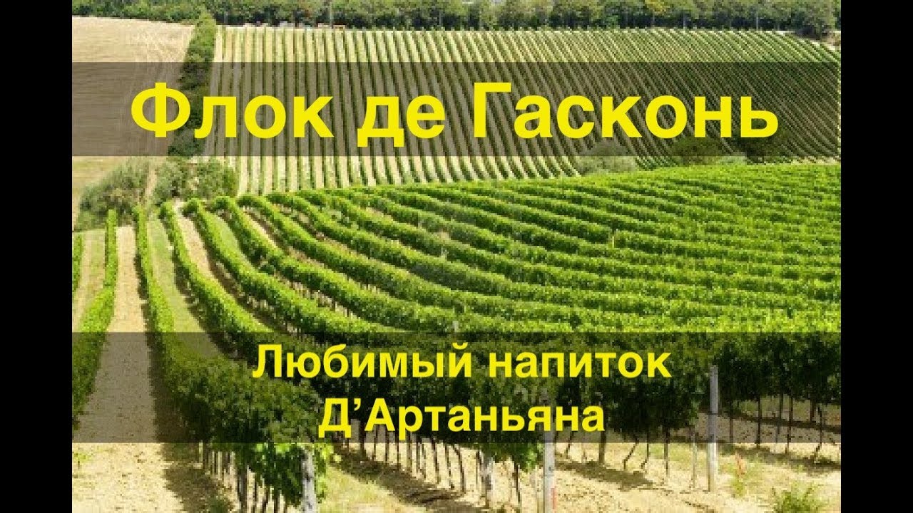 Флок де Гасконь. Часть 1. Любимый напиток Д'Артаньяна