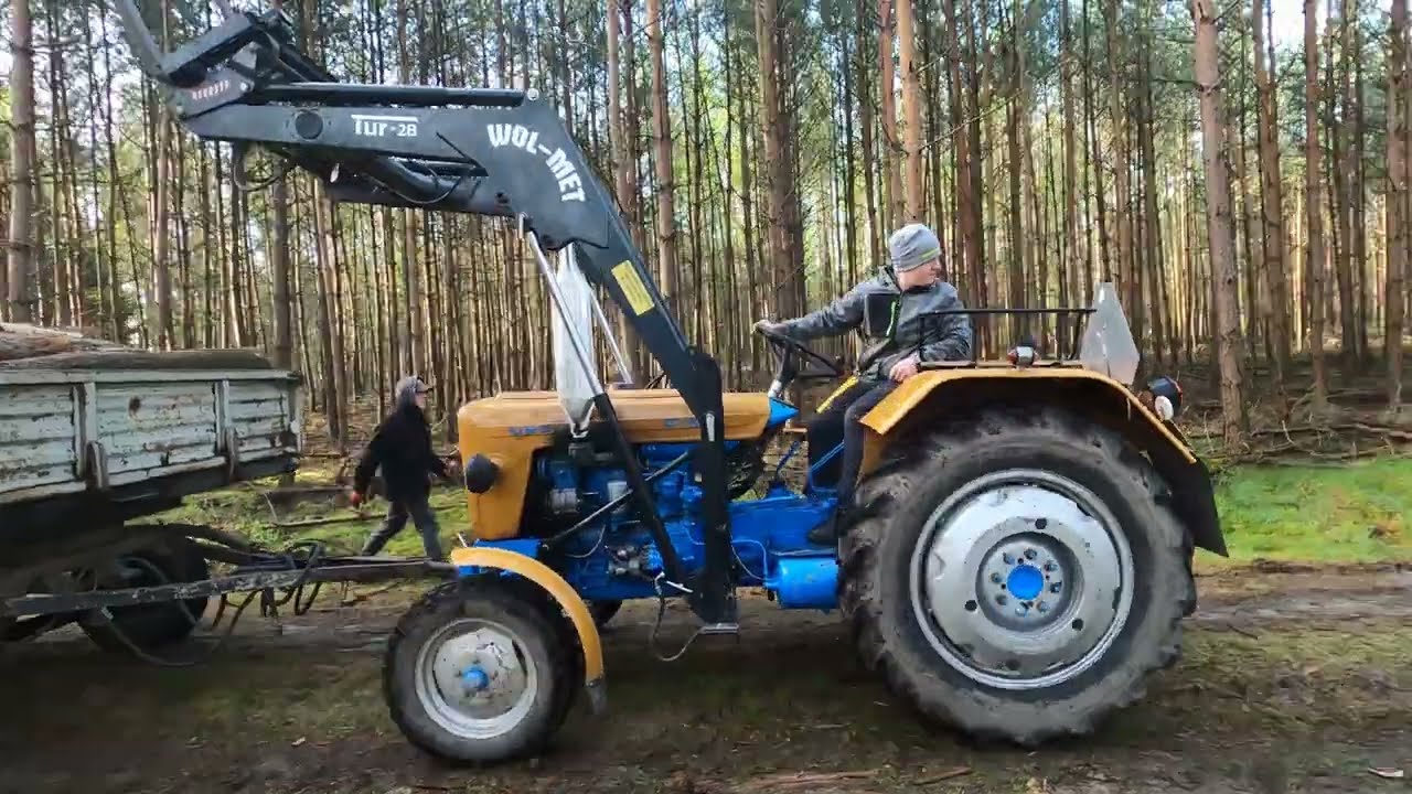 🔥Wyjazd do lasu po drzewo. URSUS C-330 i  Mtz 82🔥