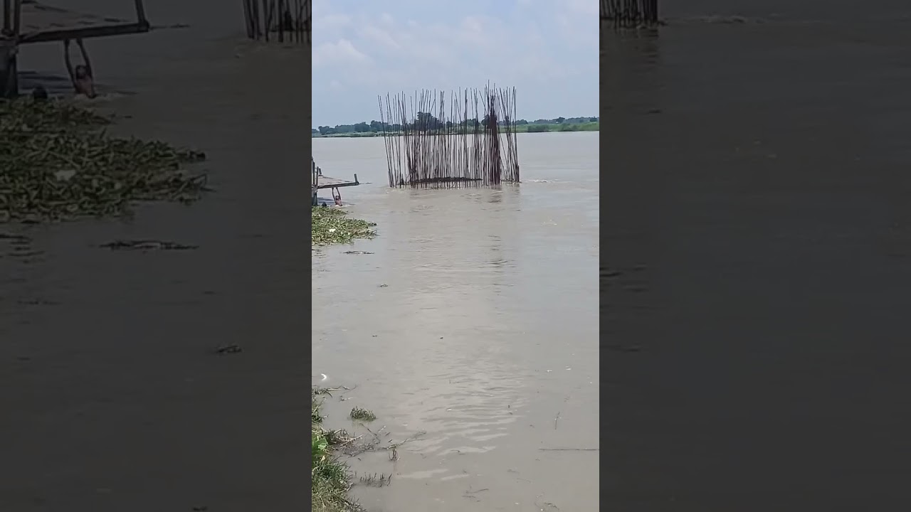 #Koshi