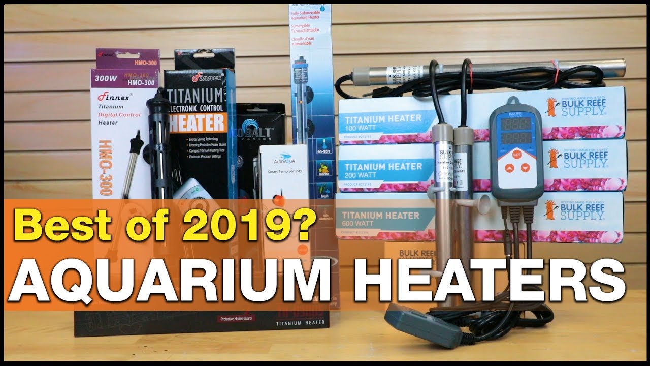 Wait...did BRS just make the BEST aquarium heater of 2019?