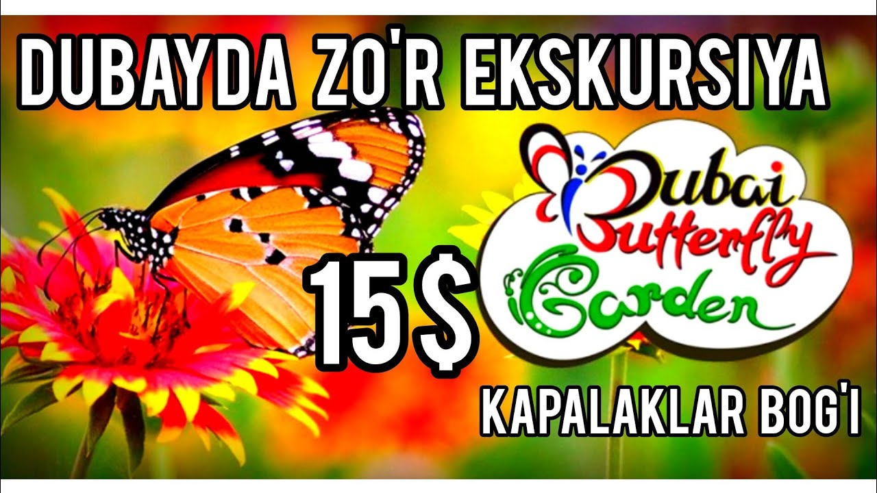Dubayda 15$ ga ZO'R ekskursiya! Kapalaklar galasi bog'i. Сад бабочек Дубай. Butterfly garden Dubay