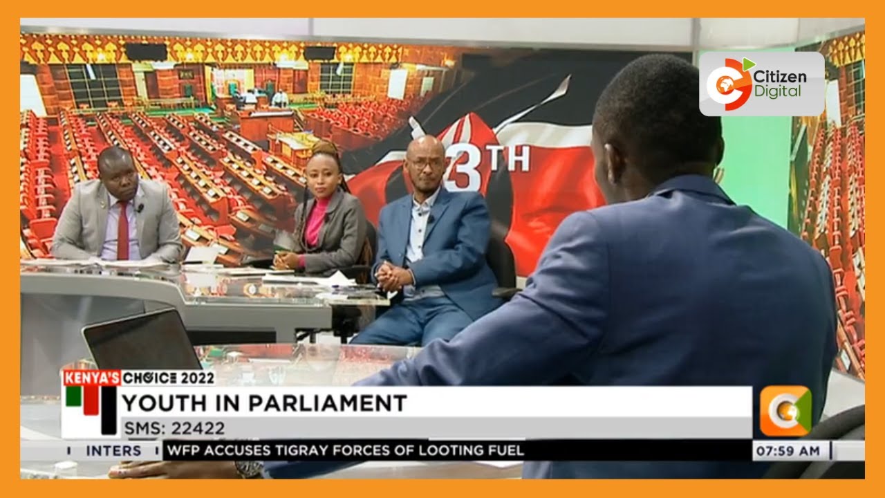 Youth MPs: How much we spent on campaigns