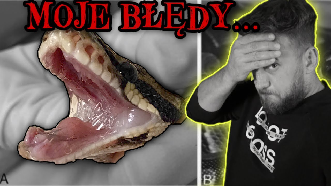 10 BŁĘDÓW ZA KTÓRE PŁACĄ NASZE WĘŻE!