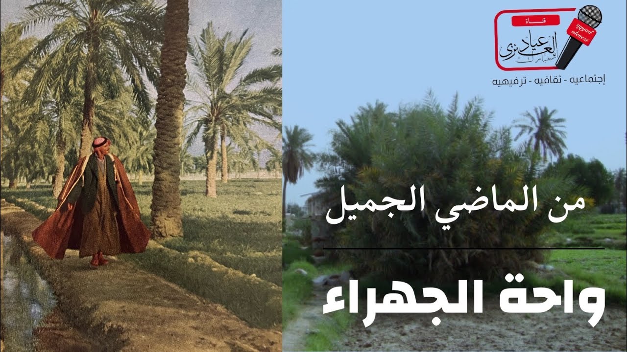 واحة الجهراء
