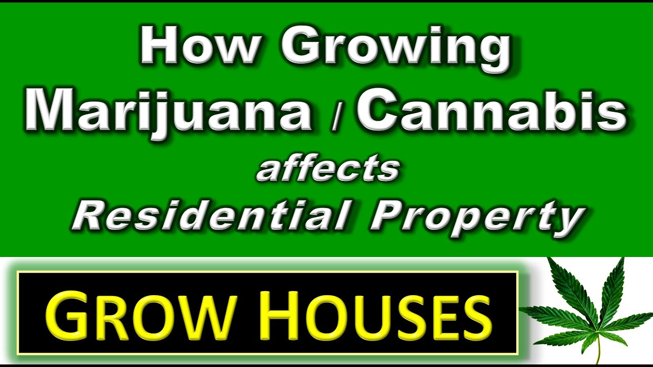 Grow Houses - How Growing Cannabis / Marijuana Affects Residential Properties. Real Estate Training