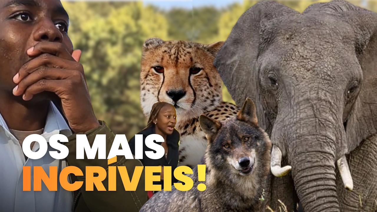 Terminando o tour no 2º MAIOR Zoológico da África 🐘 | Parte Final