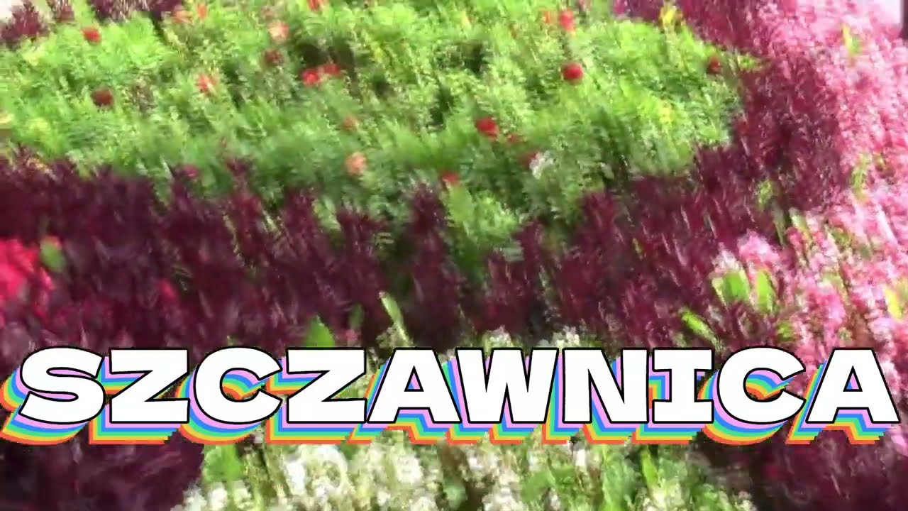 Szczawnica - Malownicze Uzdrowisko urzekające swym pięknem #wojmałopolskie #2018