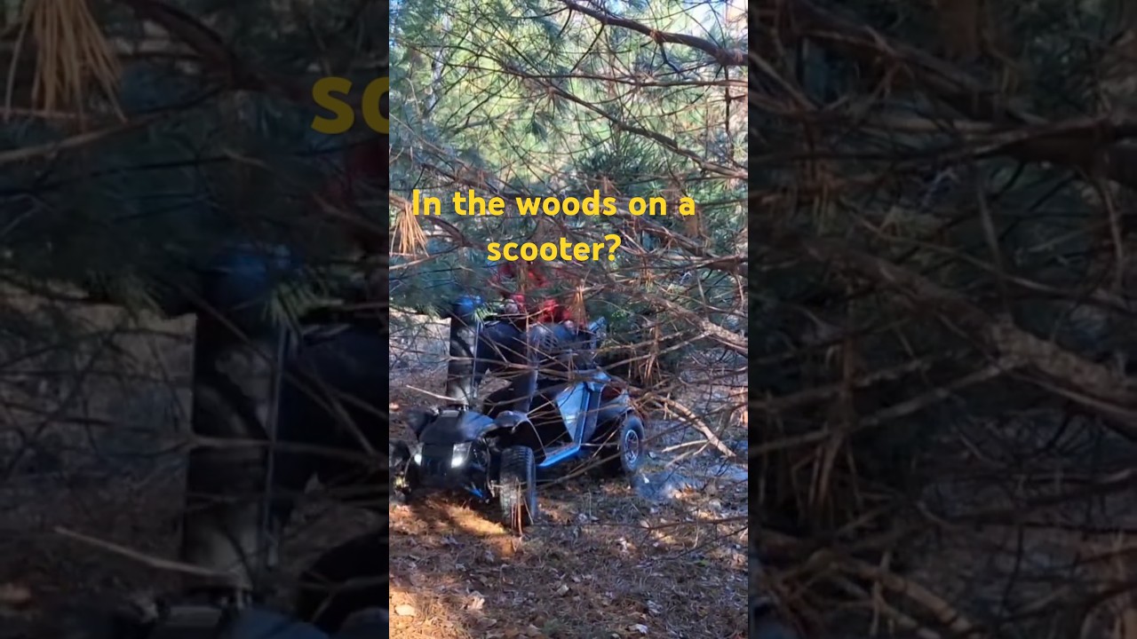Baja Wrangler 2 Mobility Scooter off road fun!!