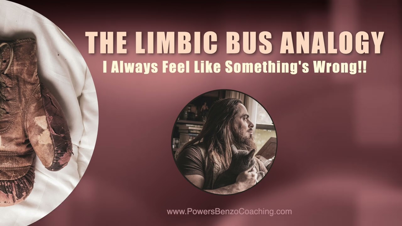 The Limbic Bus Analogy (Why do I always feel like something is WRONG!)