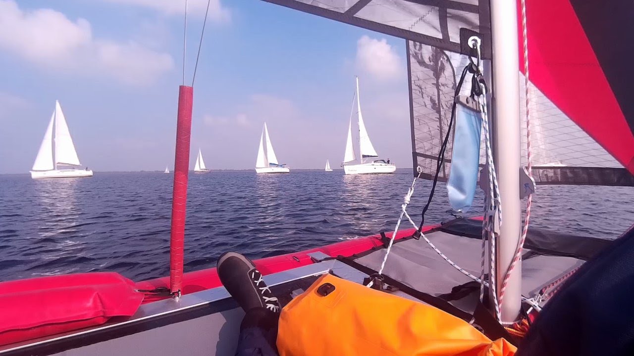 Happy Cat Evolution - Relaxen am Grevelinger Meer (Teil 2)