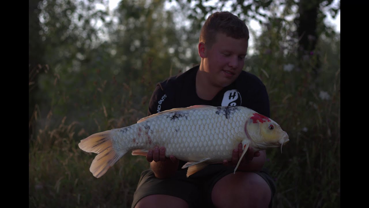 The Road Trip - Holland Baits at The Golden Carp lake, Etang de la Carpe d'Or